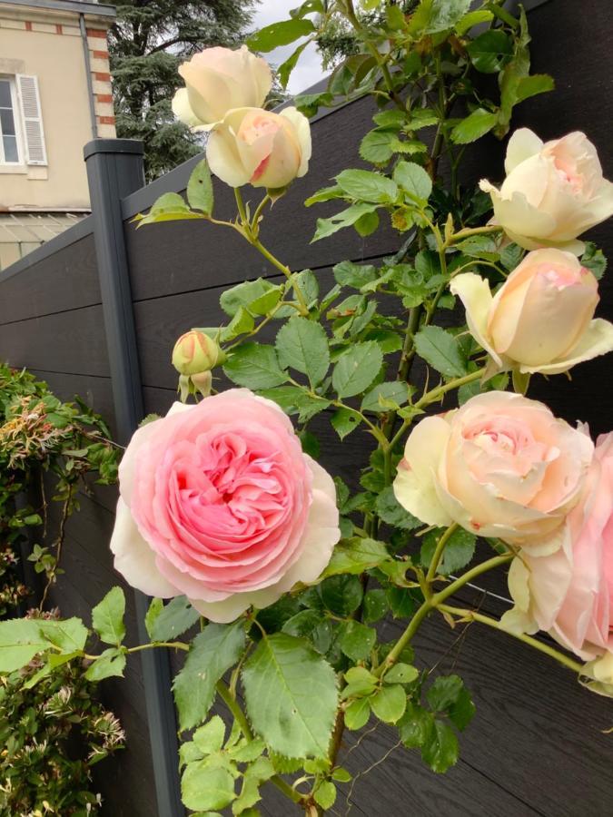 La Renardière Bourges Extérieur photo